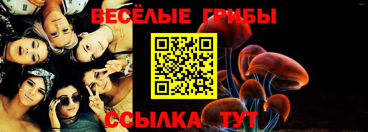 Галлюциногенные грибы мицелий  Вход с VPN  Алейск 